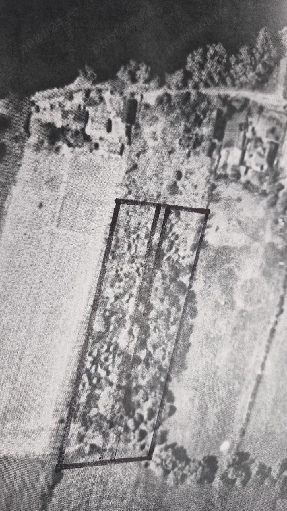 Teren intravilan Pardina