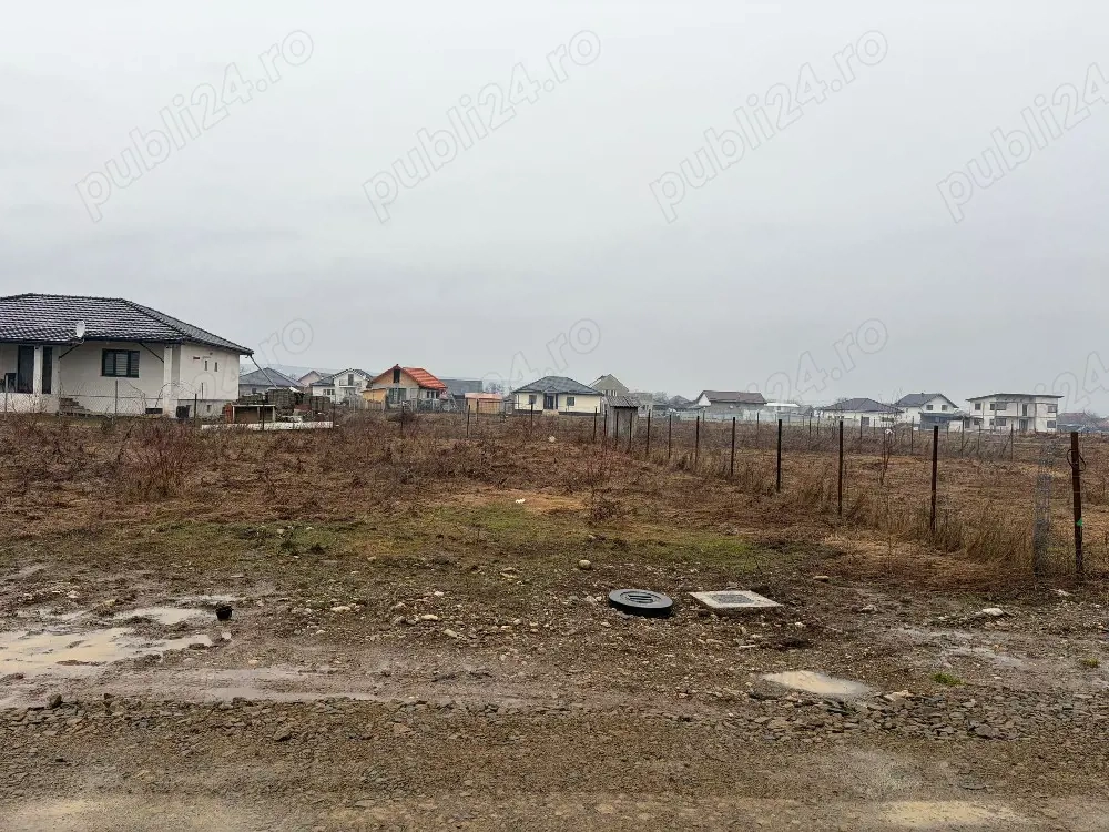 vand teren intravilan comuna Mihai Viteazul 