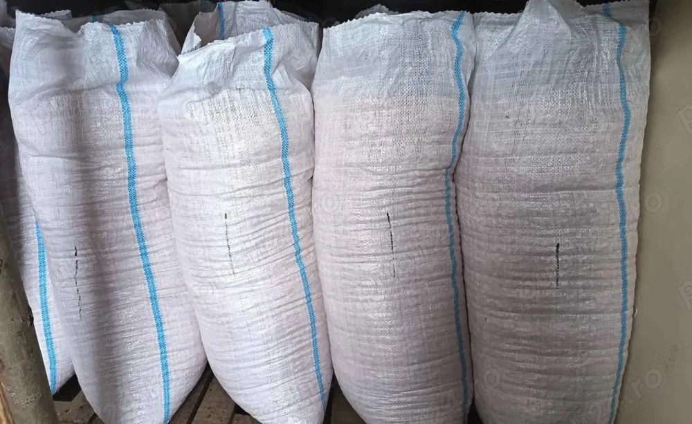 Vând Grăunțe M37V