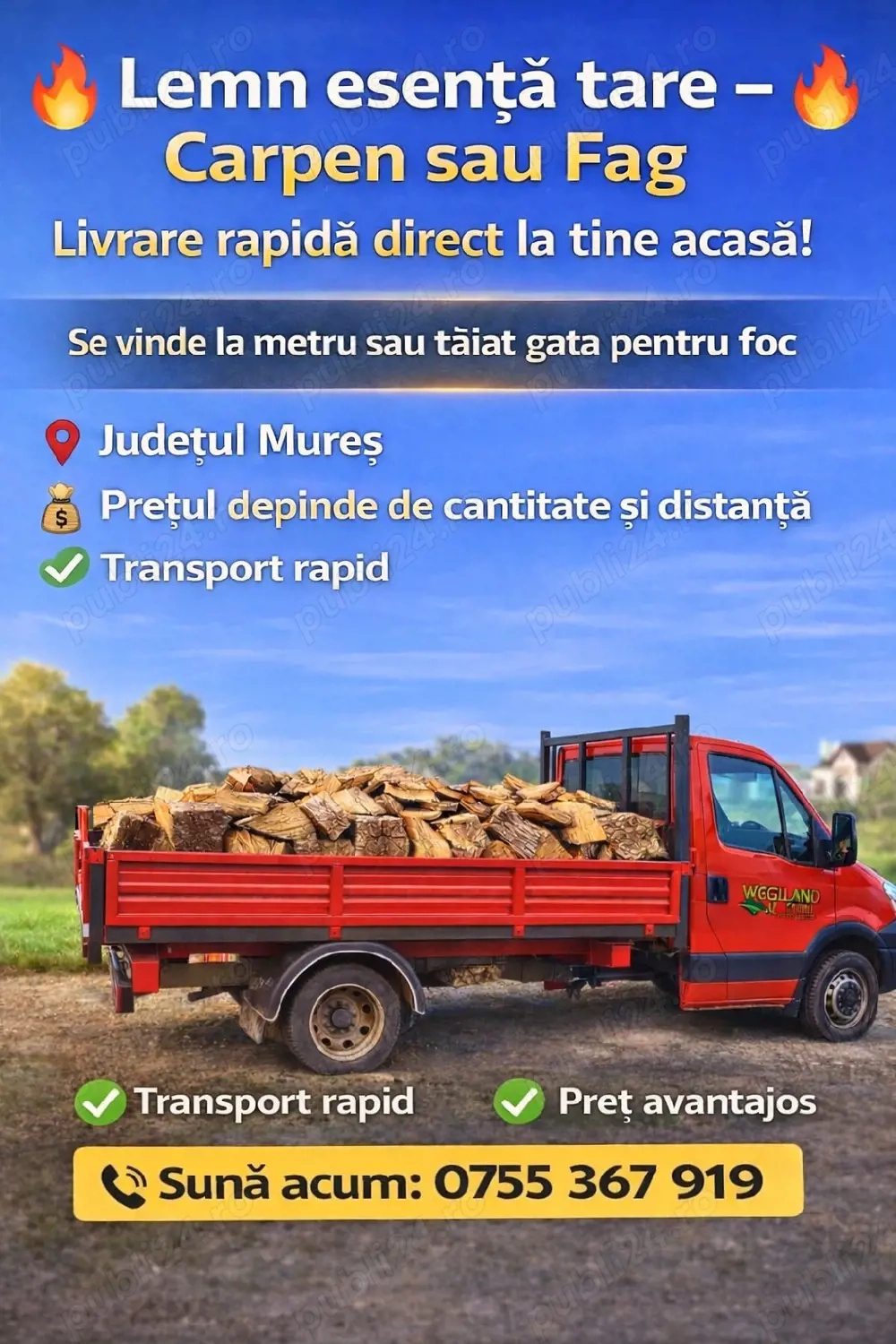 vand lemne de foc(240 ron metru stern) carpen esenta tare 