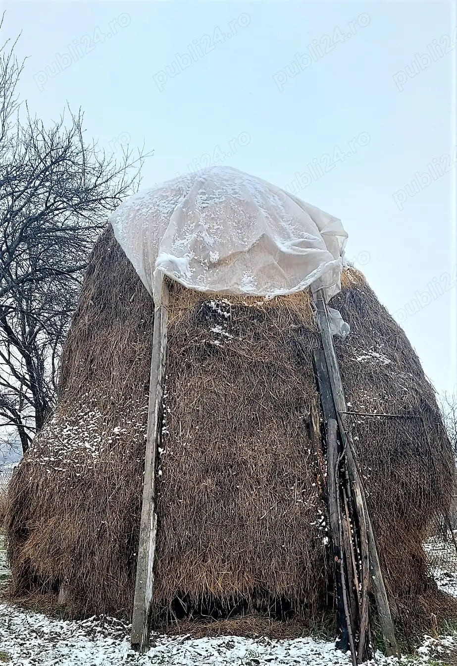 Claie de fan de vanzare