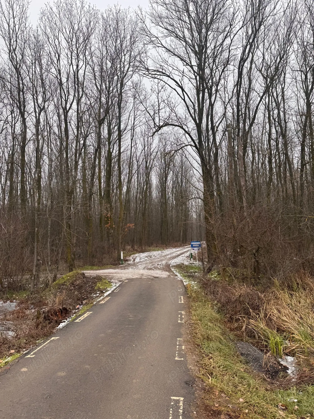 Teren Ciolpani: 500 mp langa padure si DN  toate utilitatile