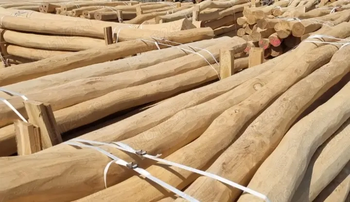 Lemn salcâm decojit pentru balansoar ,leagăn 