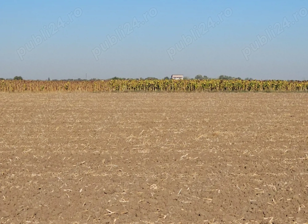 Teren intravilan 1 Decembrie jud Ilfof 