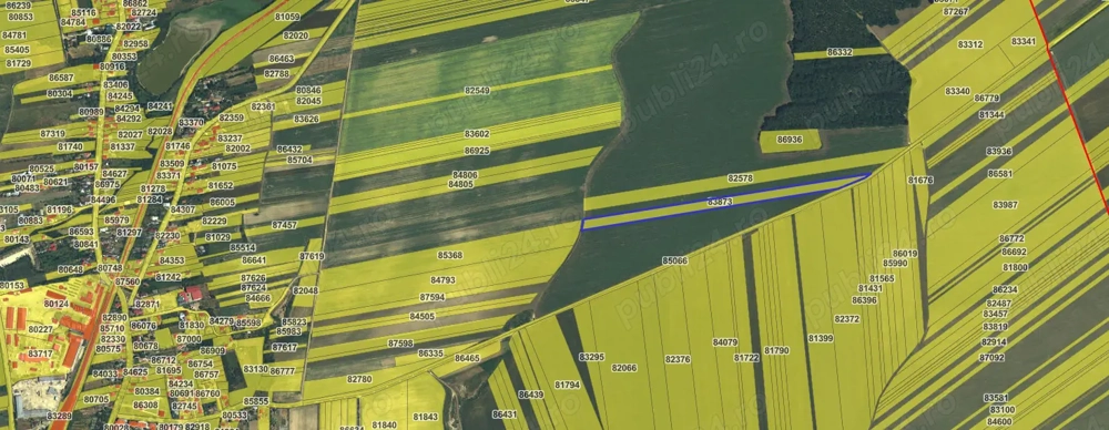 Vânzare teren extravilan in Costești, Arges