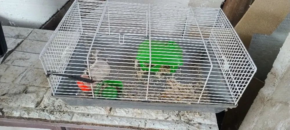 Cușcă pentru hamsteri 