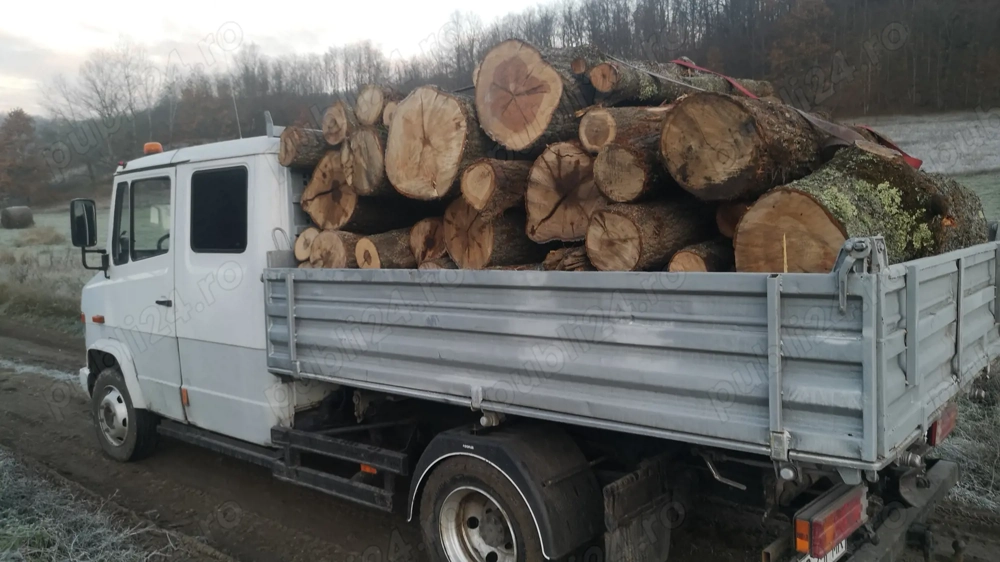 Mercedes vario 815 d