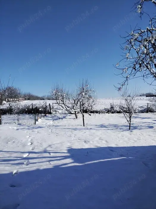 Casa de vânzare în Călinești, jud Botoșani - 5800 mp teren