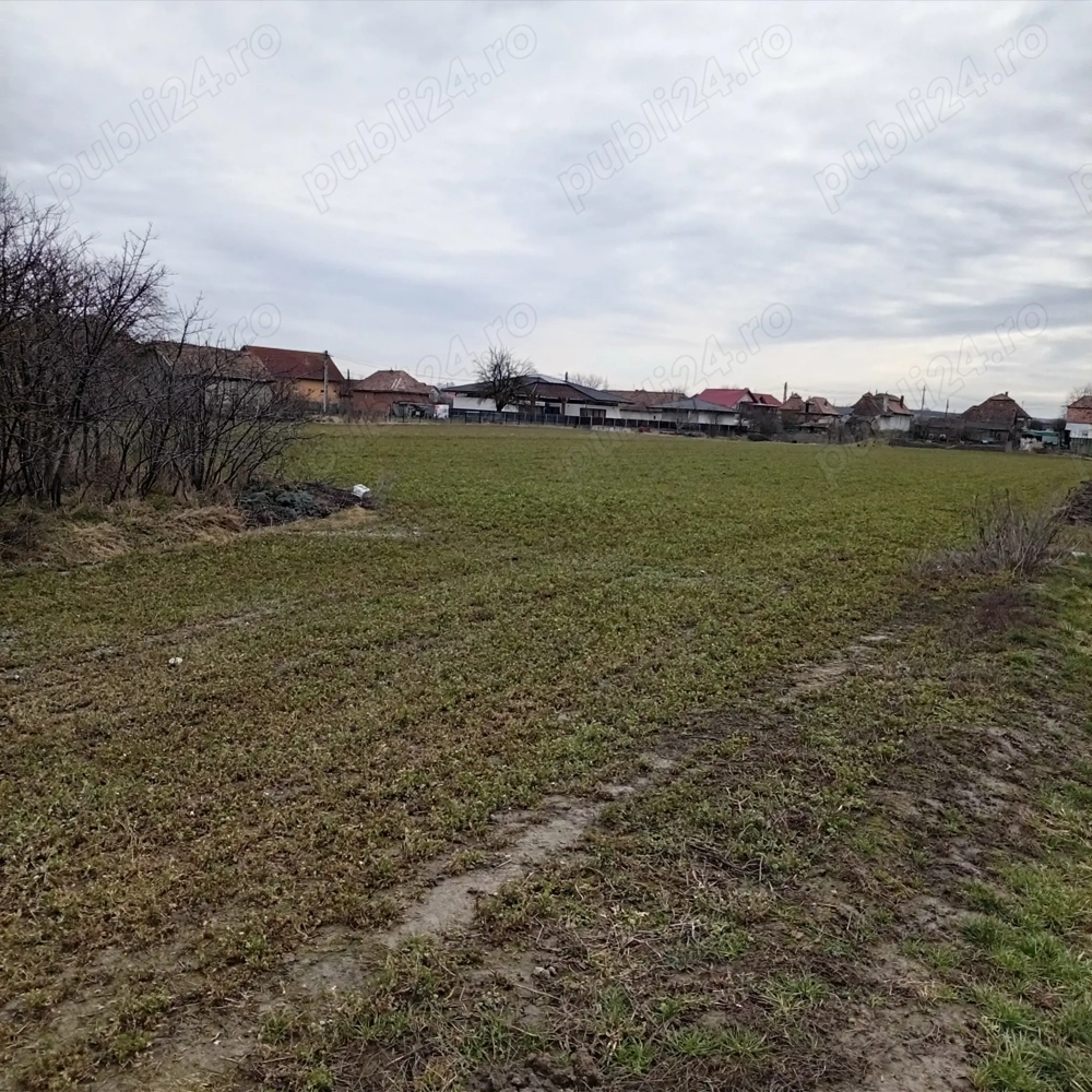 Teren intravilan -pret imbatabil -25 euro mp