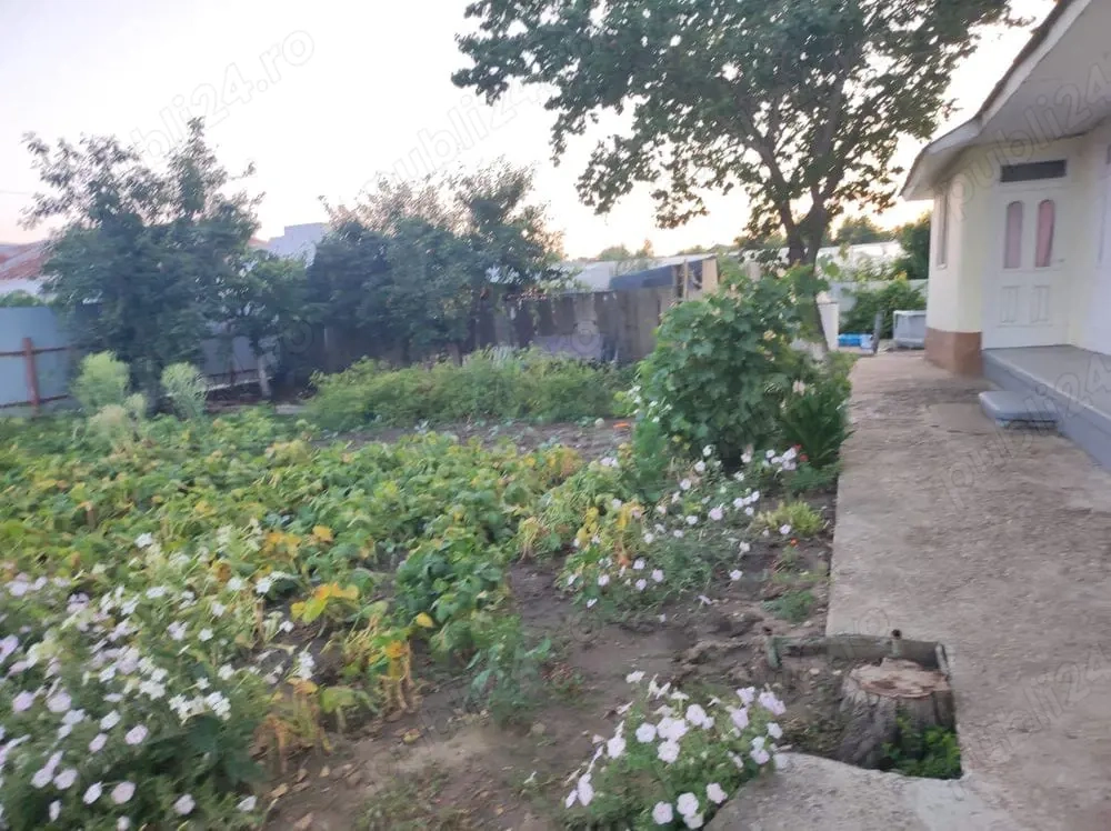 Vând casă bătrânească com Matca