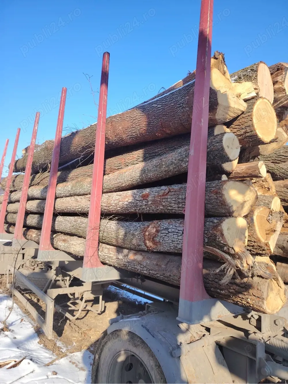 lemne de foc esente tari 