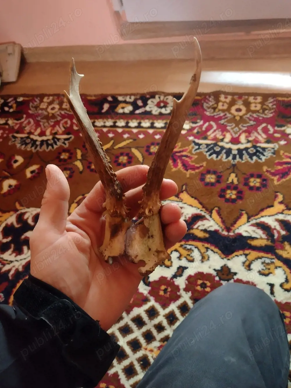 Vand Pereche  Cornite Cpr originale