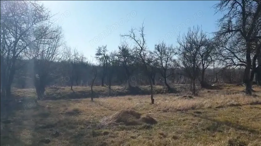 Vânzare teren pentru casă