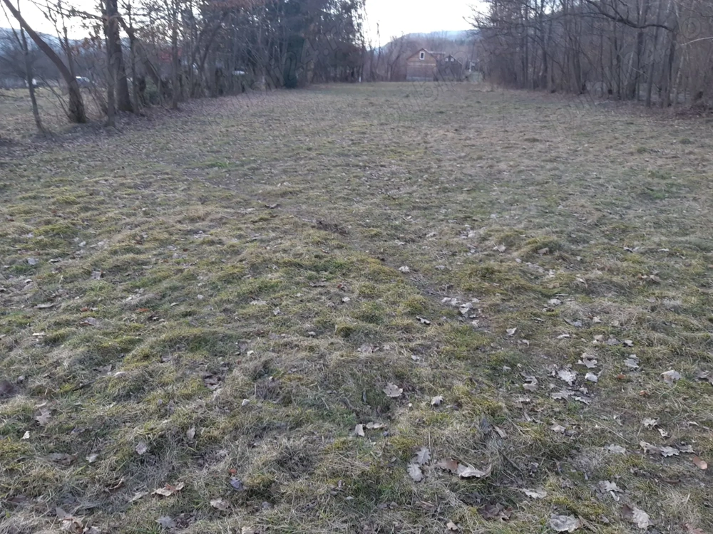 Teren de vânzare (intravilan) 22 ari