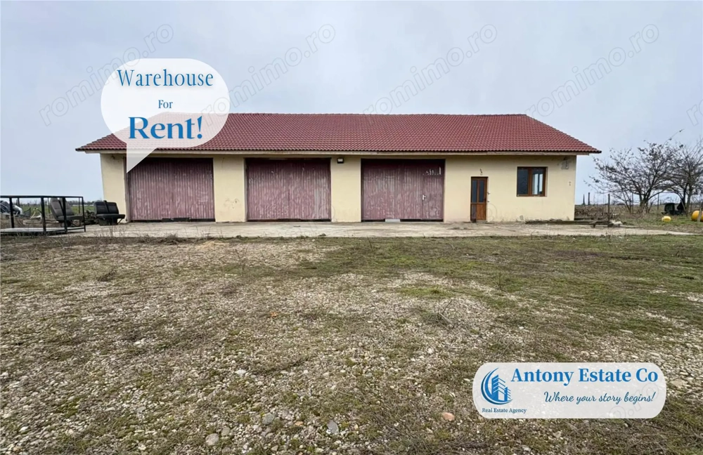 Hala de inchiriat, In Cauaceu