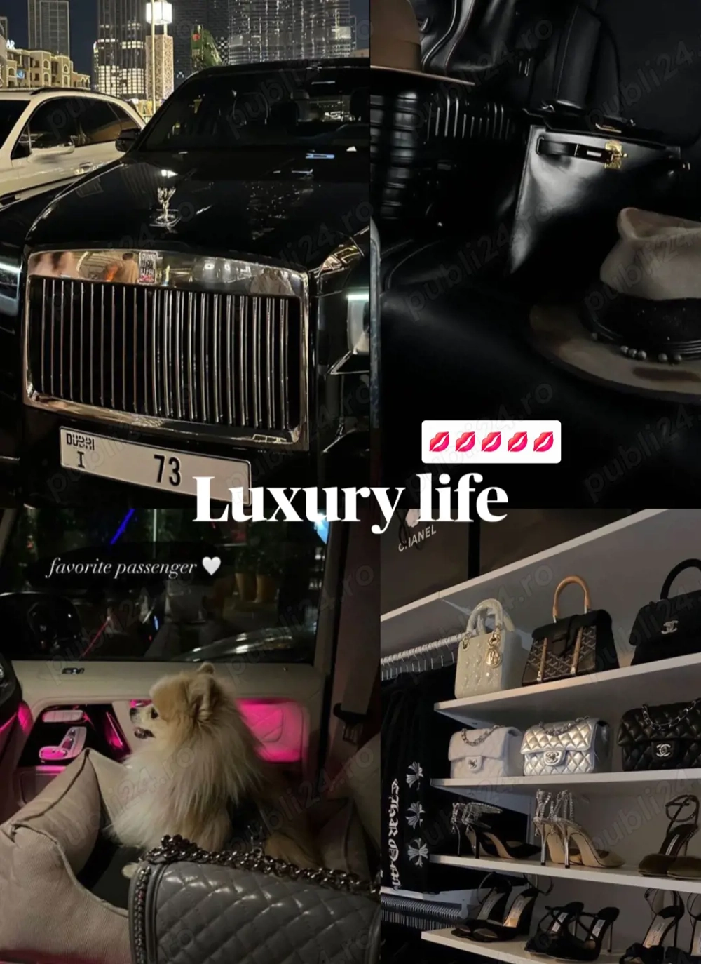 Caut colega pentru a lucra impreuna 