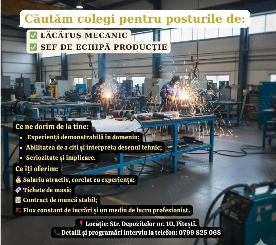Șef de echipă   producție