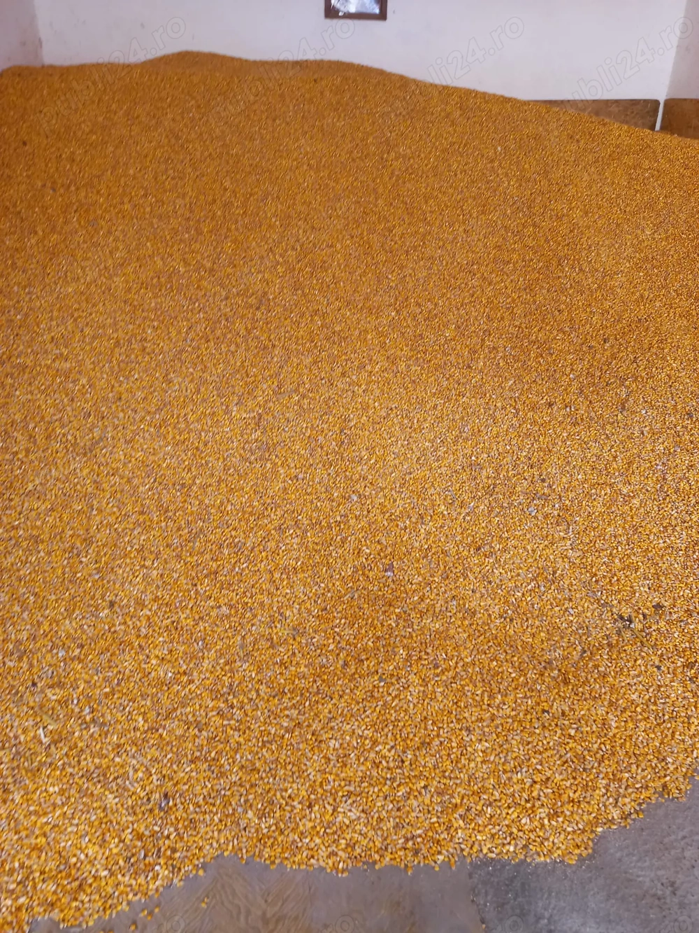 Vand porumb Sibiu-Altina