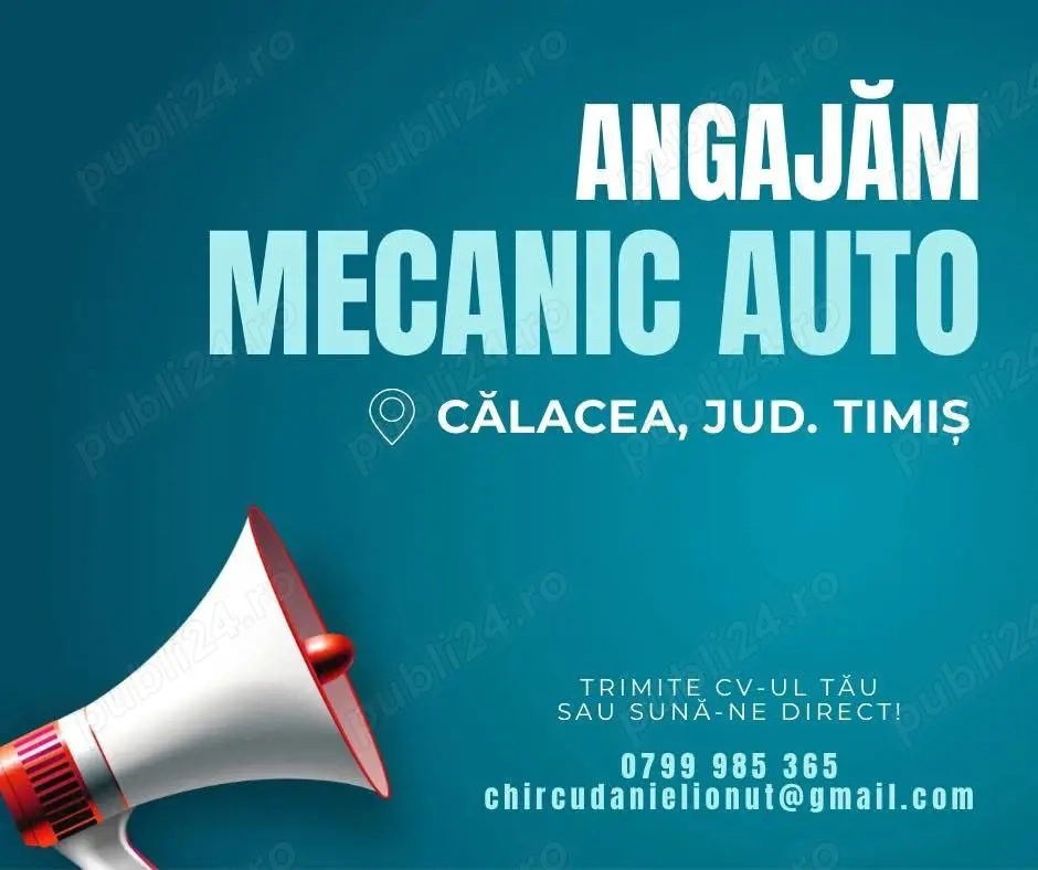 Angajăm MECANIC AUTO - Călacea