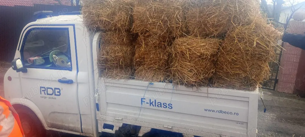 vand baloți de paie si fan