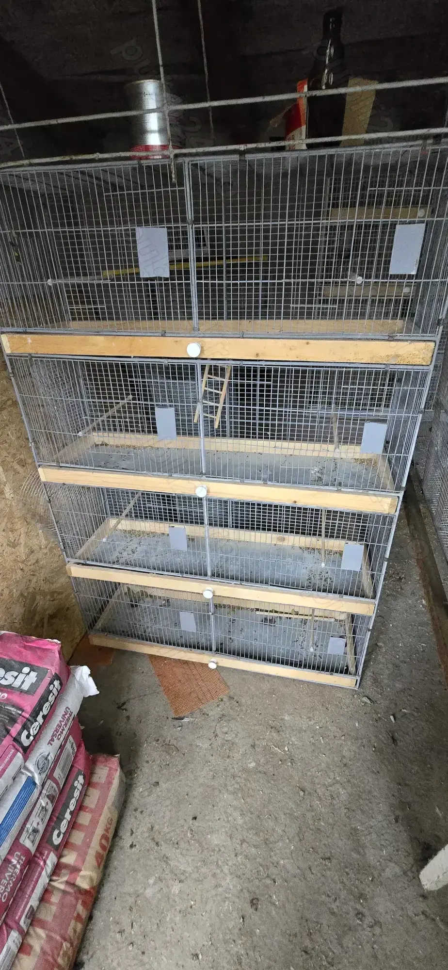 Veliera si Perusi standard