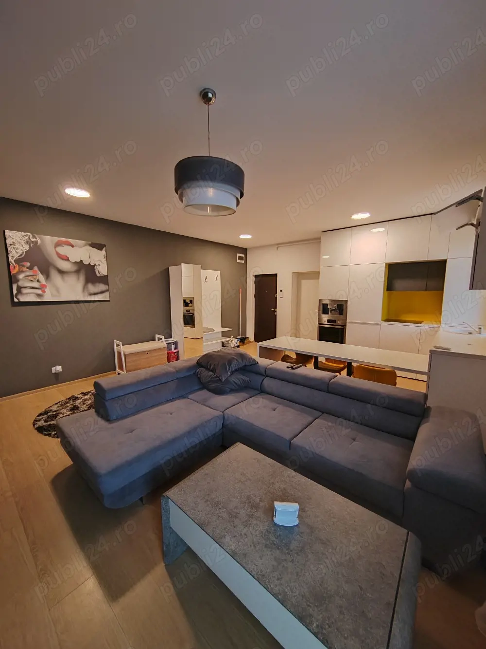 Penthouse de vânzare în Timișoara 