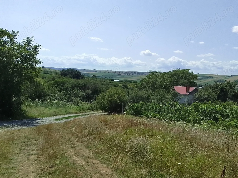 Teren extravilan  cu casuta vie si livada la 15 min. de baile Tasnad
