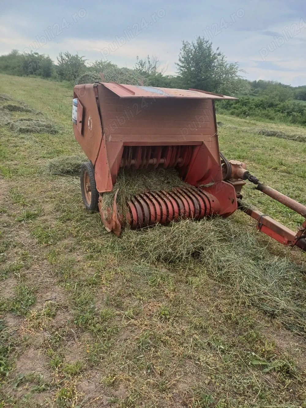 Balotiera mica de munte