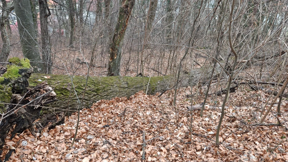 Vând 1400 mp. teren intravilan în stațiunea Căciulata