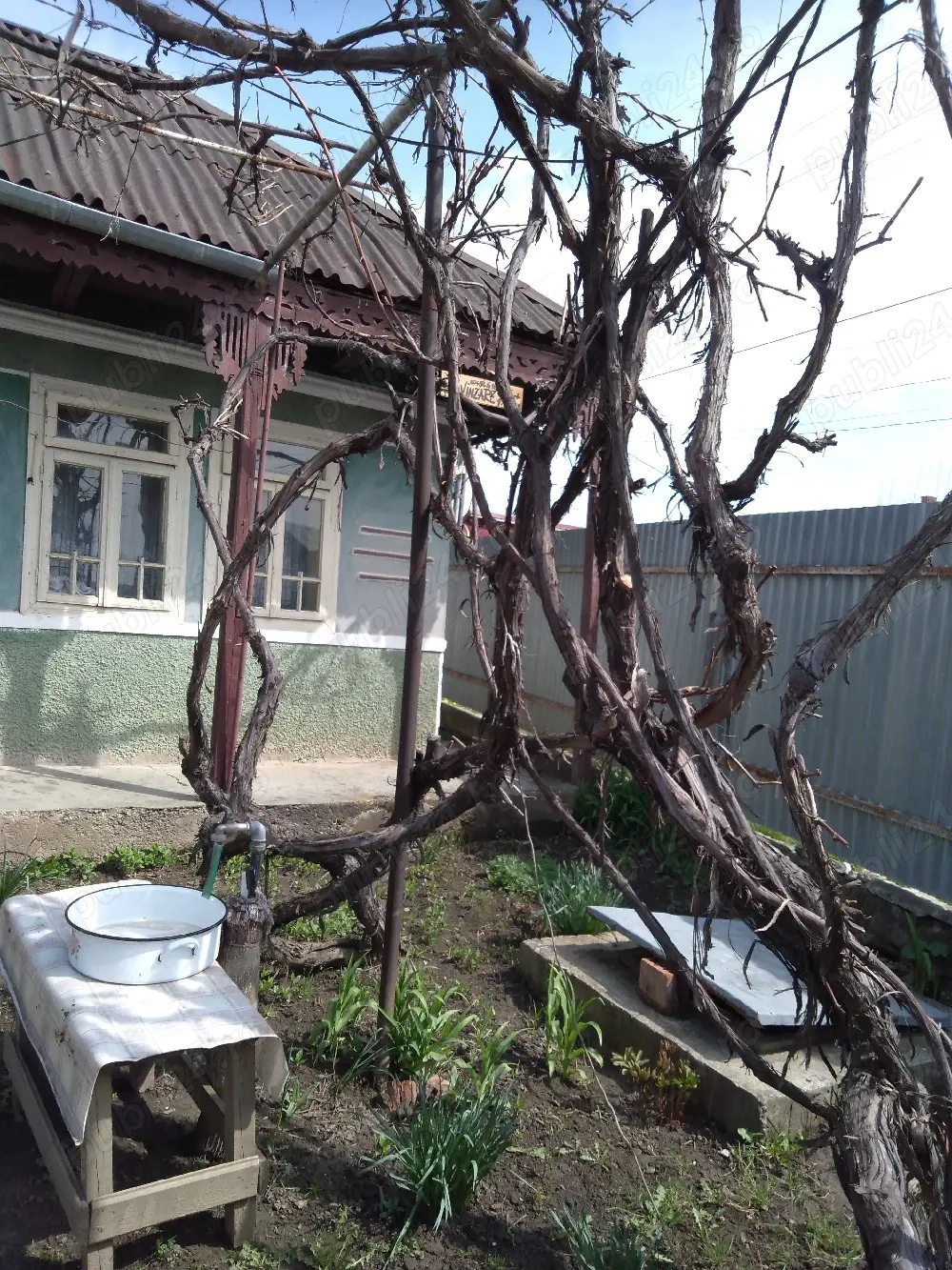 casa si 1500 mp teren