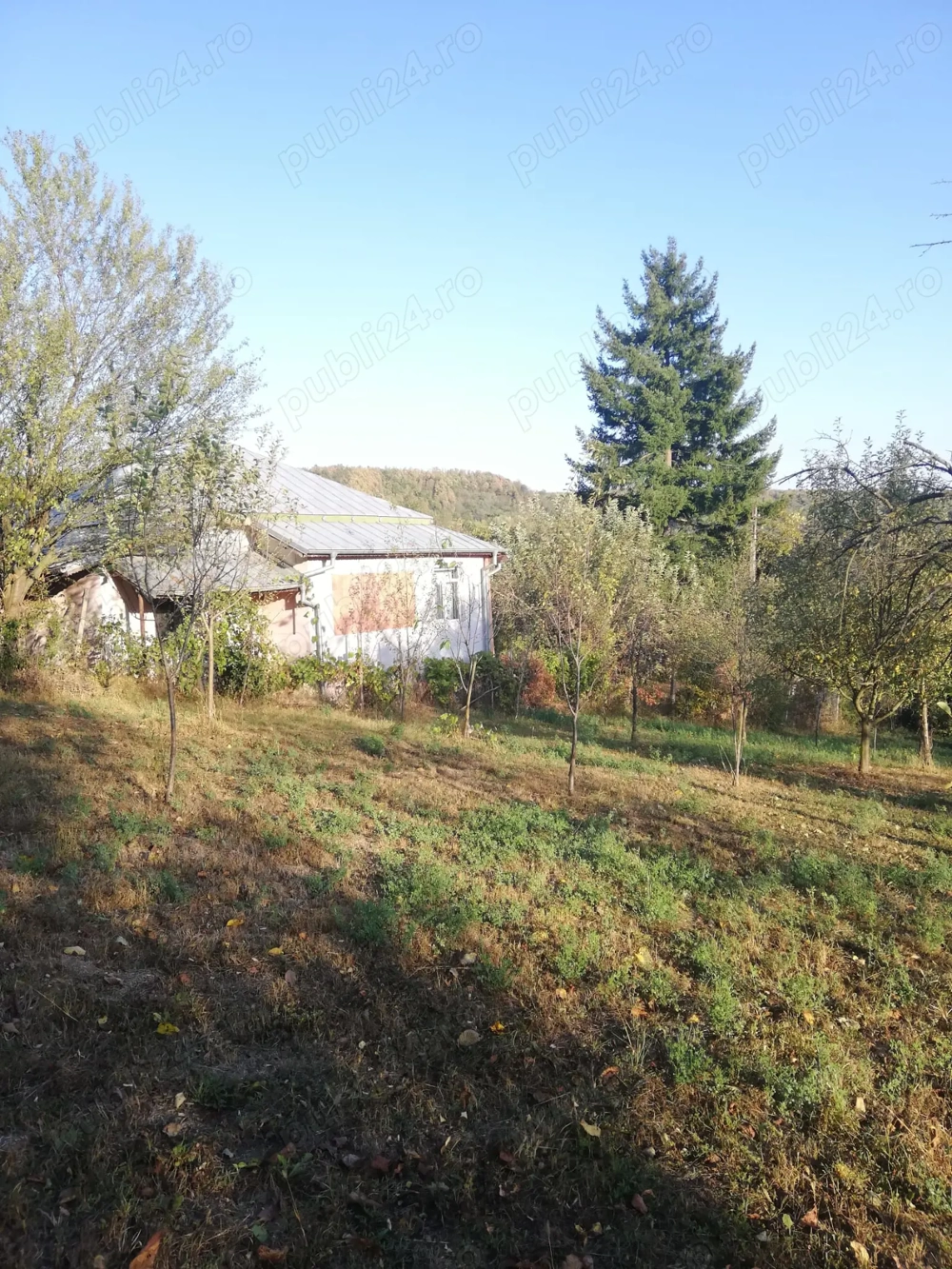 Case de vânzare +25.000mp-Calinesti Argeș,lângă Pitești și Topoloveni