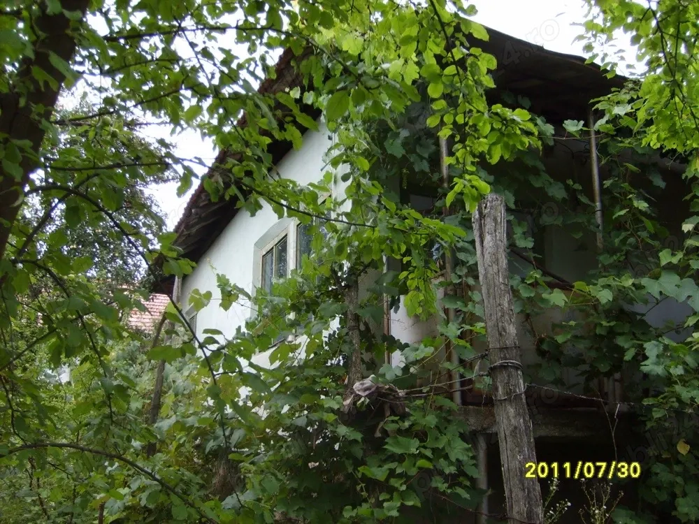 Vând casă în Bala de Jos