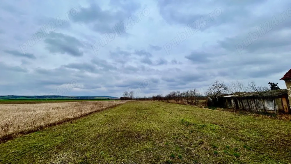 De vanzare teren intravilan Husasau de Tinca 2272 mp.