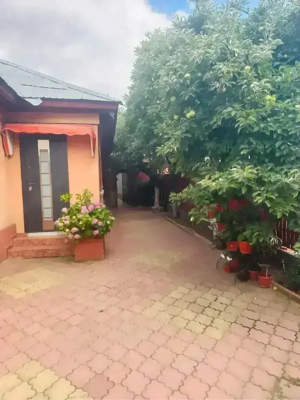 Casa de vanzare Alexandria