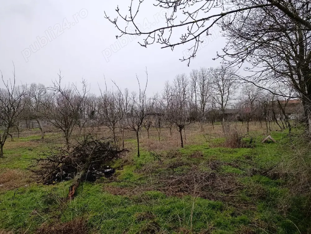 Teren intravilan Stamora Romana 