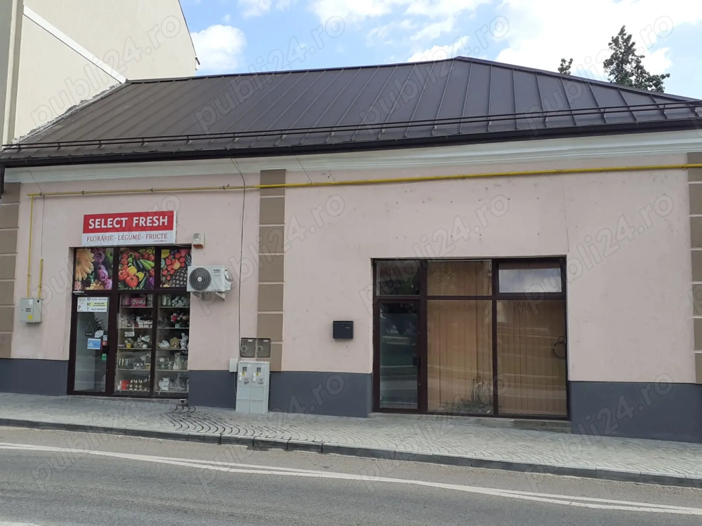 Vand 2 spatii in Baia Sprie, zona centrala