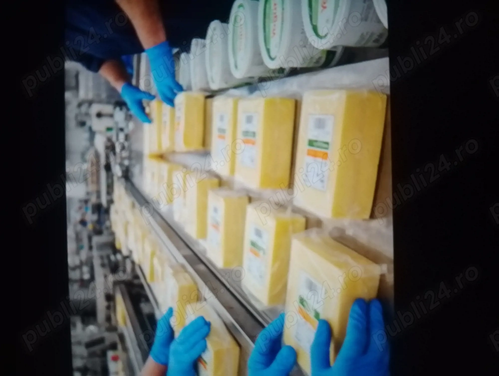 Angajam cupluri  la ambalat cașcaval 