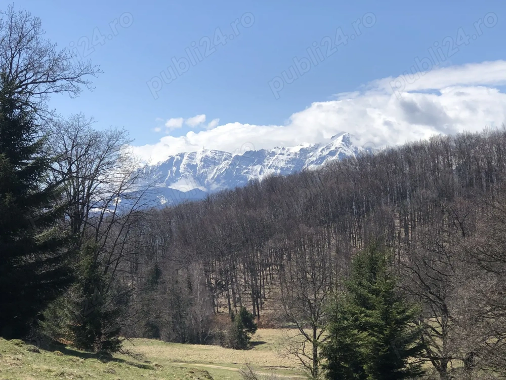 De vanzare 4900 mp extravilan la 4 km de Poiana Bravov
