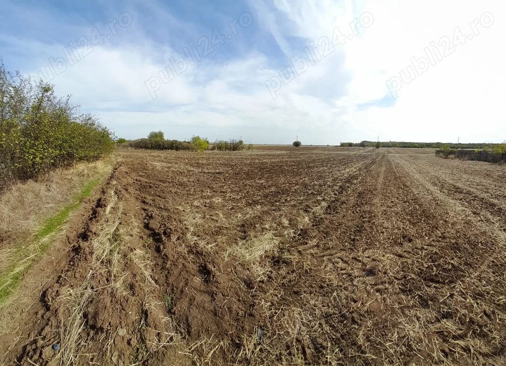 Vand teren 1000 mp intravilan Valea Plopilor Jud. Giurgiu