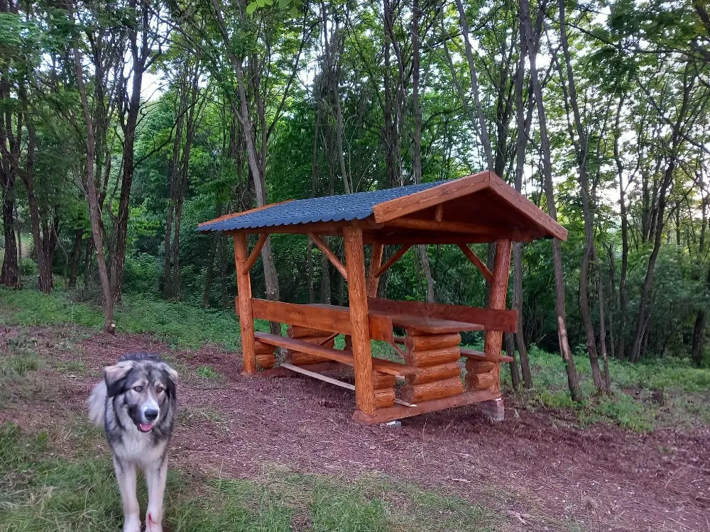 Foisor Ciuperca de gradina din lemn masiv