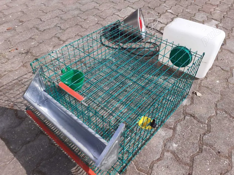 Cusca prepelite cu accesorii