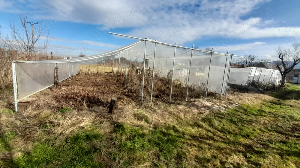 Gradina de inchiriat 