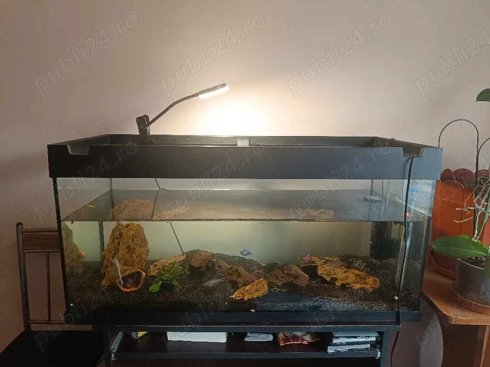 Acvariu pentru pesti