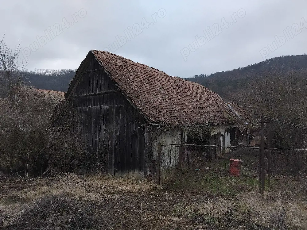 sura lemn 25 metri lungime