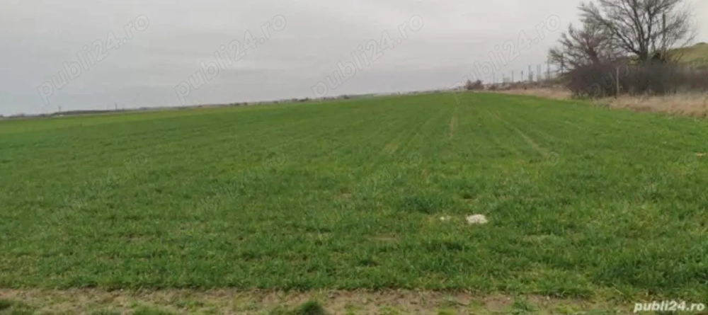 Vand Teren Extravilan in Sag