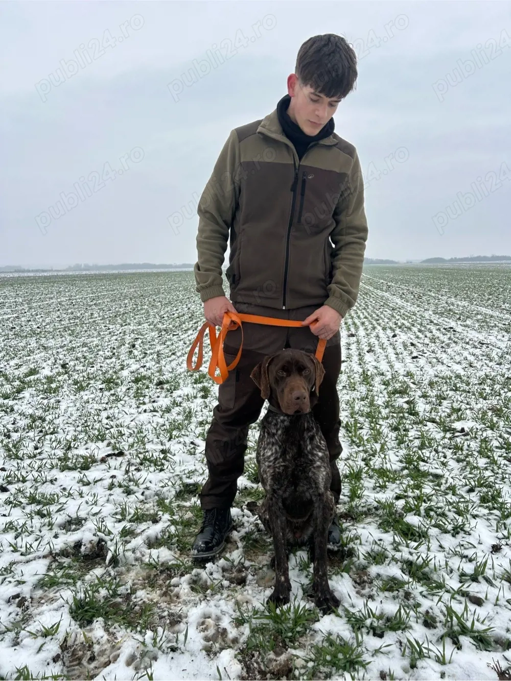 Vand schimb brac german