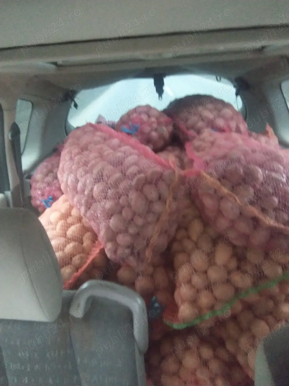 cartofi de sămânță covasna