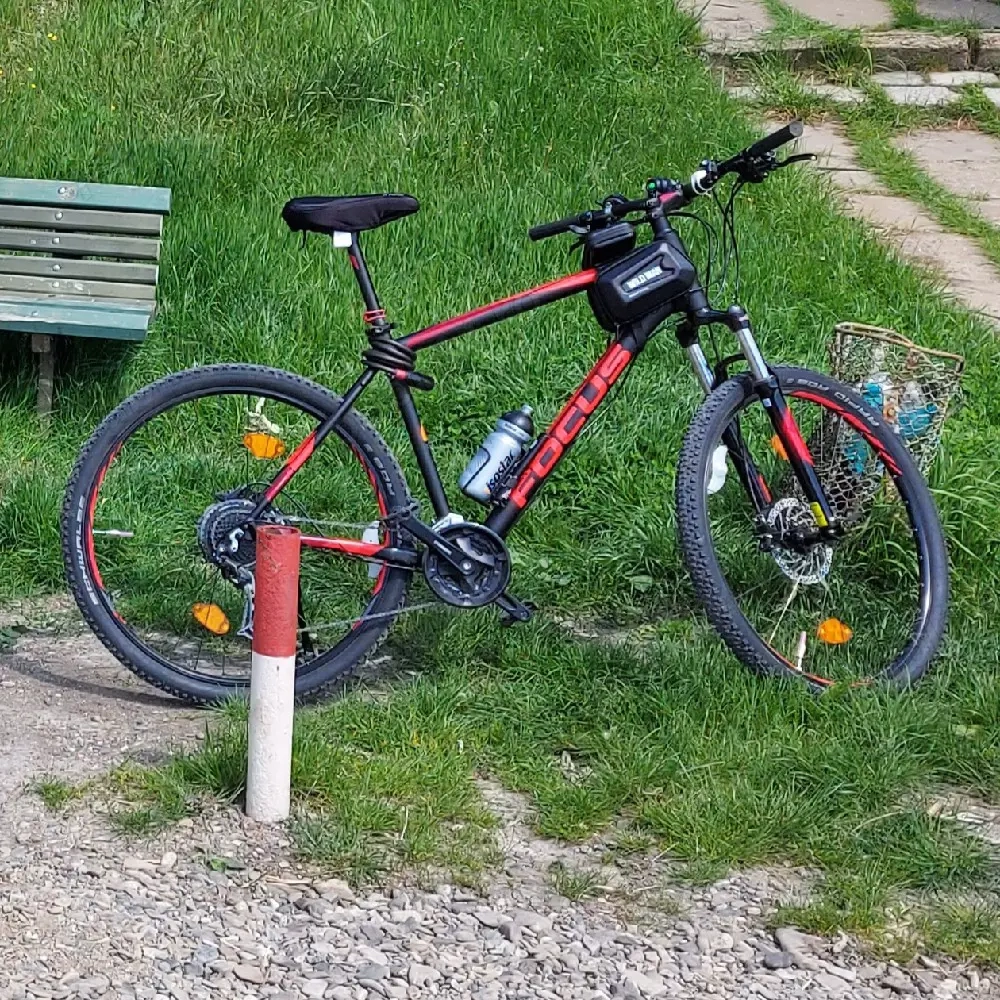 bicicleta focus whistler