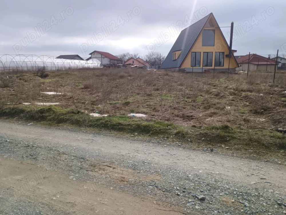 Vanda Pamant malul mare 