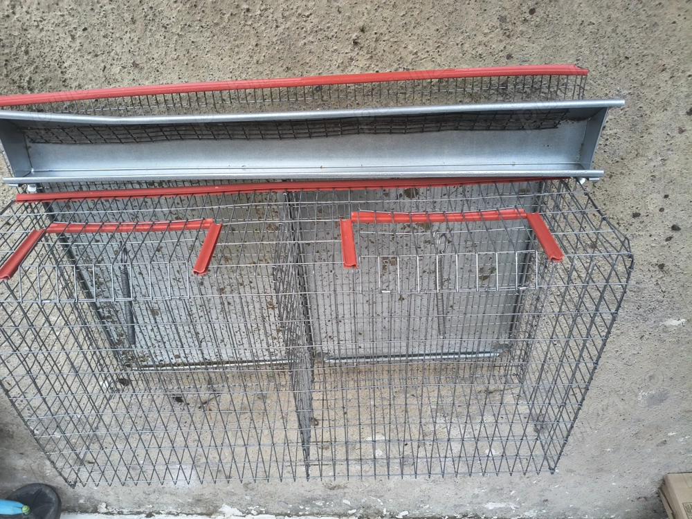 *cuști 50 prepelițe sh -120 lei